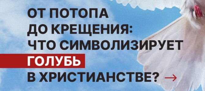 От Потопа до Крещения: что символизирует голубь в христианстве?