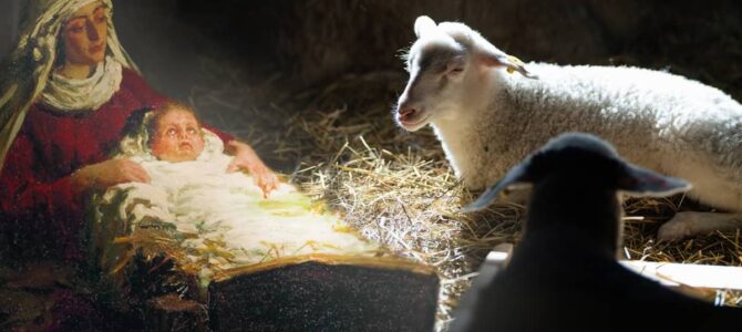 Где родился Христос и кто находился рядом с Ним